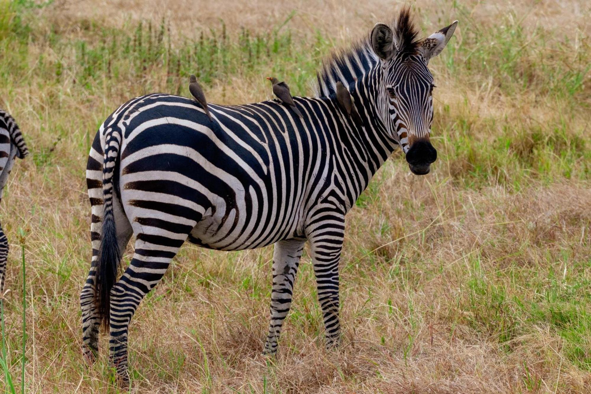 Eden Paradise Michamvi Zewnętrze zdjęcie
